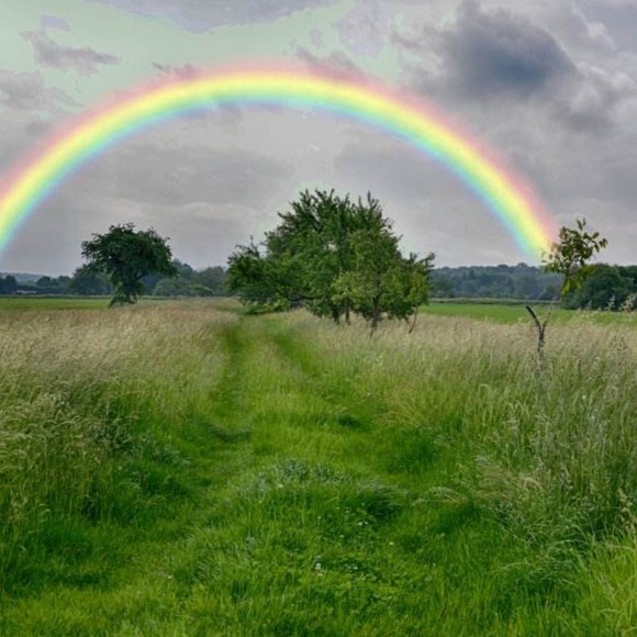 Meet your Posher, Eugene - Picture 1 of 1